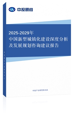 2025-2029Їͳ(zhn)O(sh)ȷl(f)չҎ(gu)ԃh(bo)