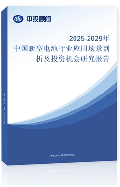 2025-2029Ї늳ИI(y)(yng)ÈͶYC(j)о