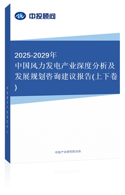 2025-2029ЇL(fng)l(f)늮a(chn)I(y)ȷl(f)չҎ(gu)ԃh(bo)(¾)